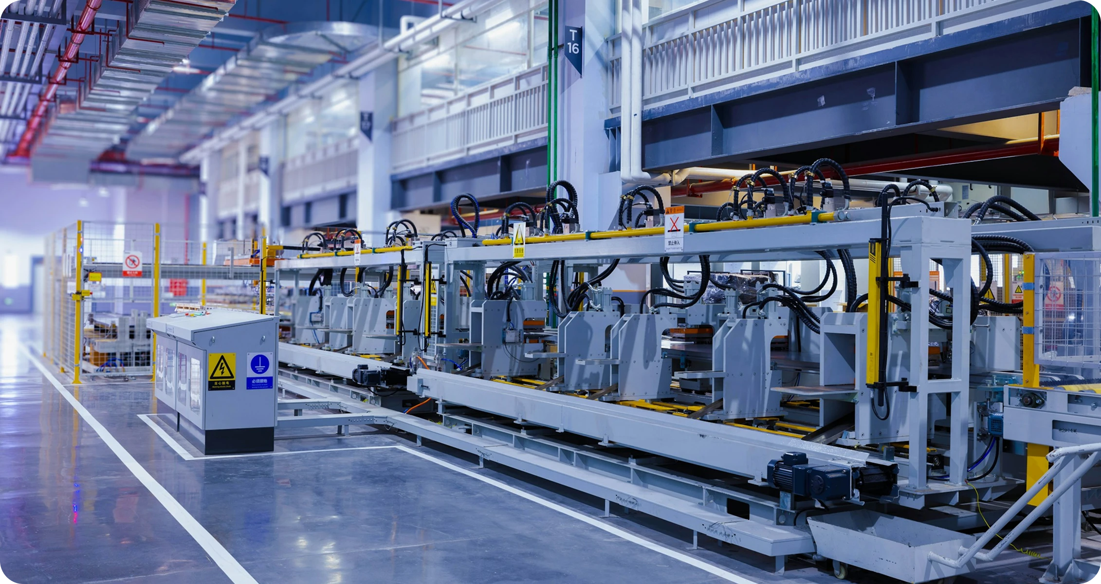 Life Sciences Illustration