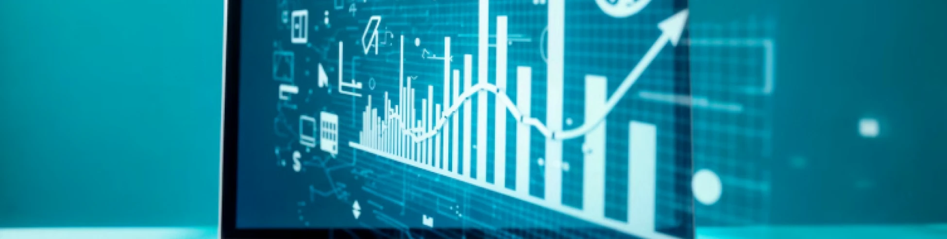 Financial & Project Insights