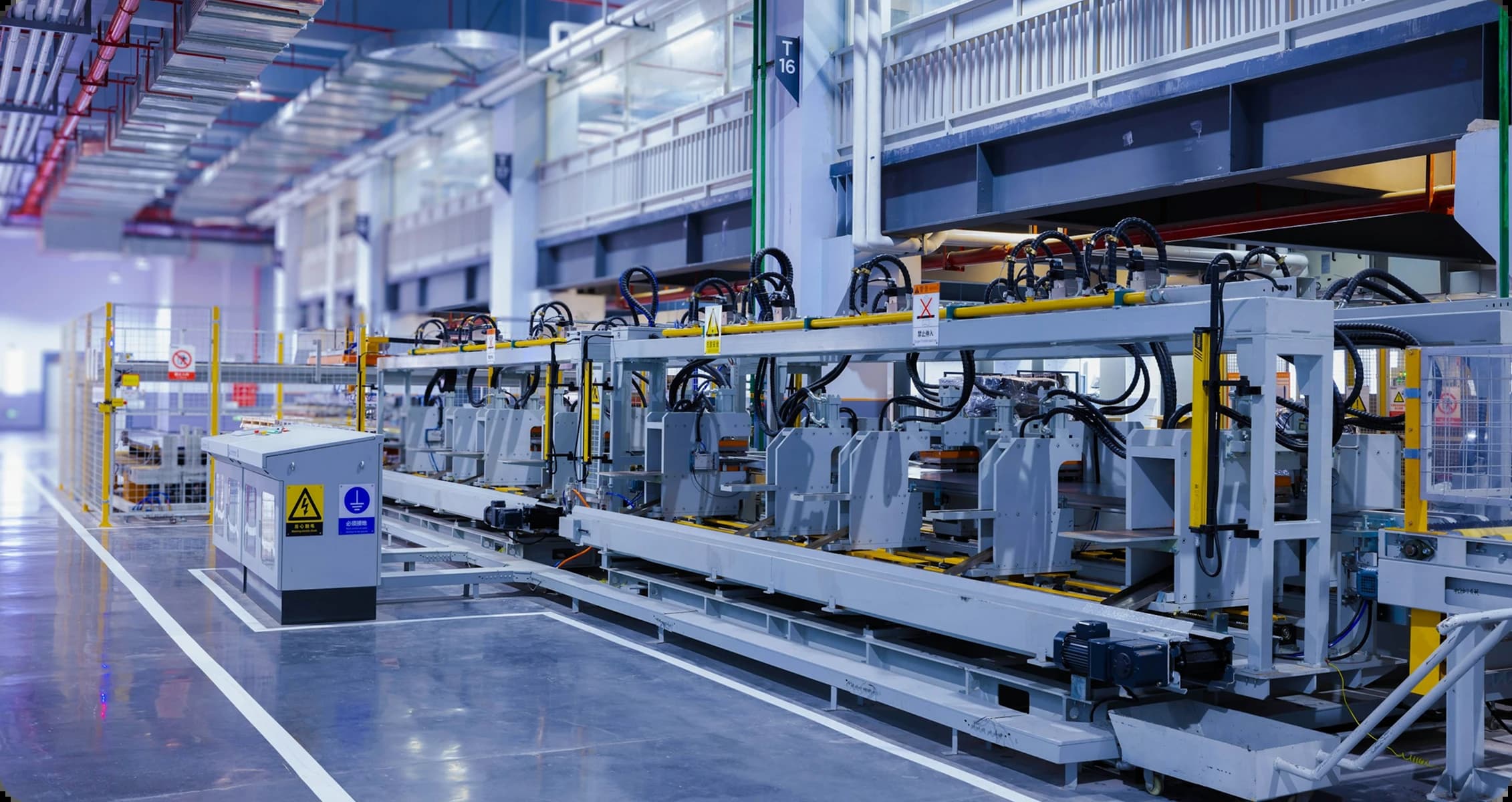 Life Sciences Illustration